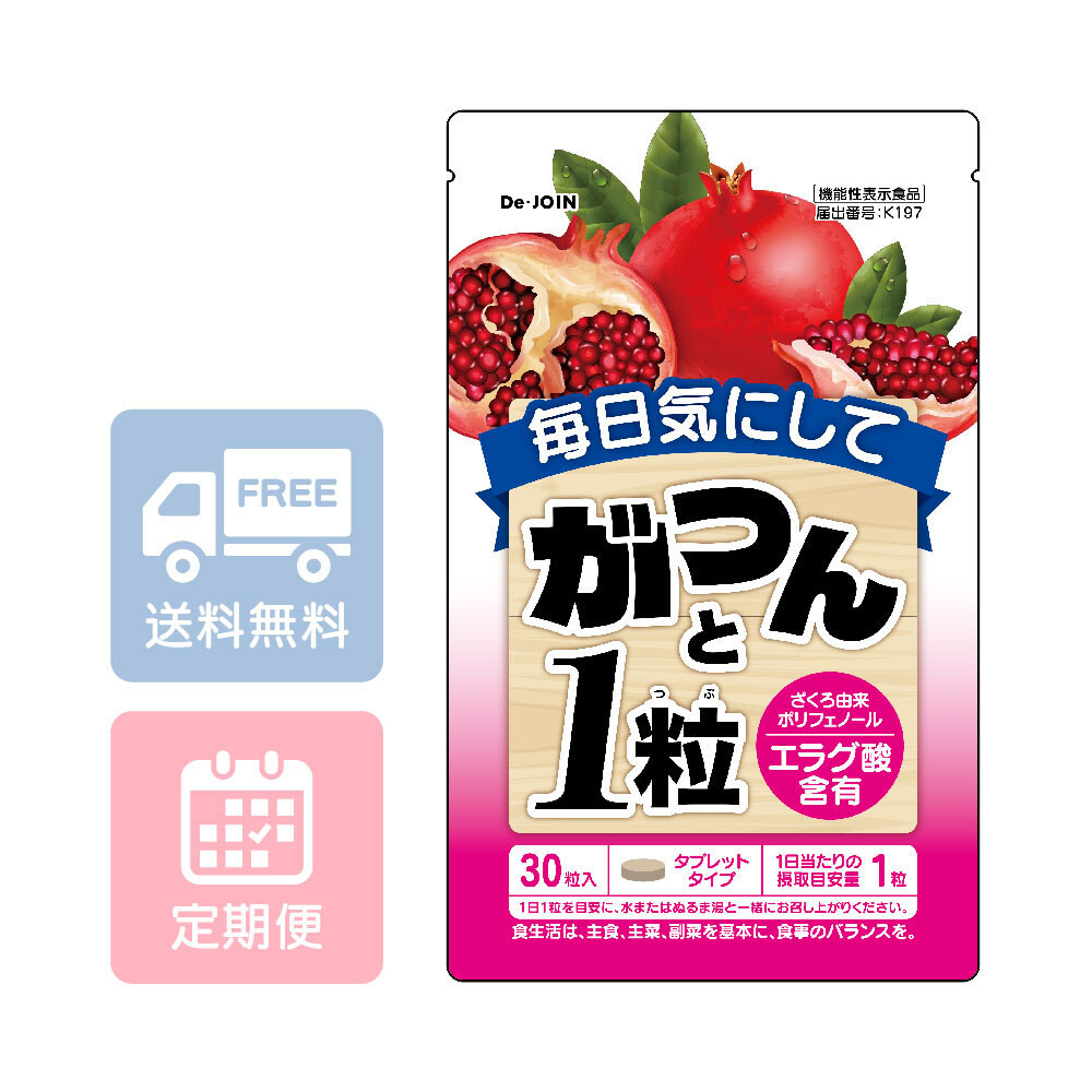 【定期】がつんと1粒 1袋