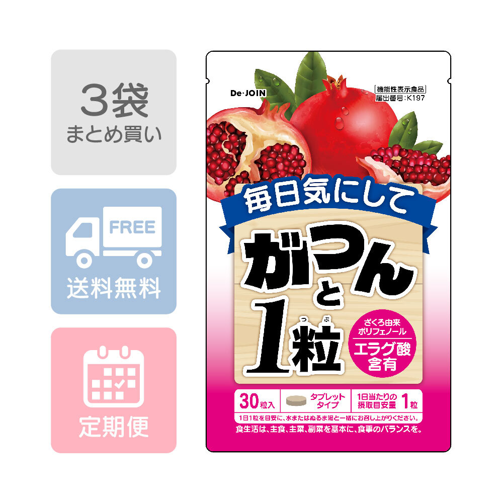 がつんと１粒　定期３袋
