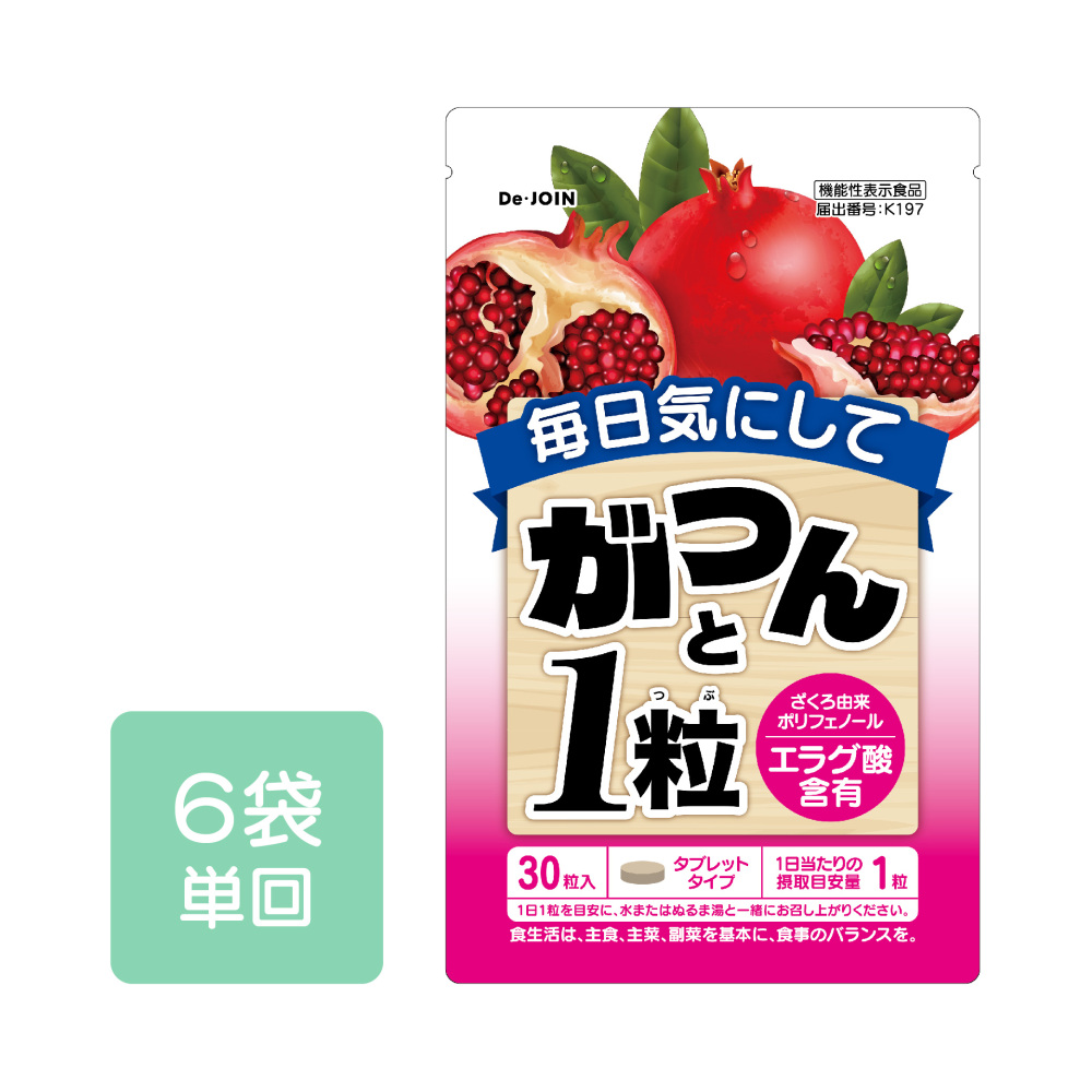 がつんと１粒　６袋（通常）