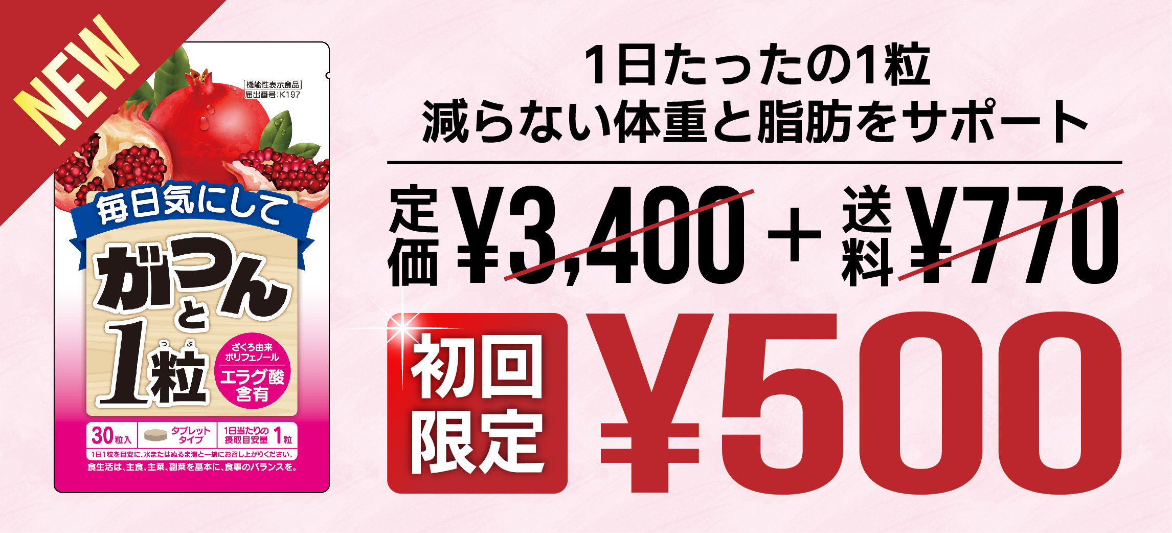 がつんと1粒_初回