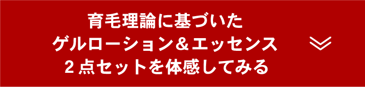 2点セットご注文フォームボタン