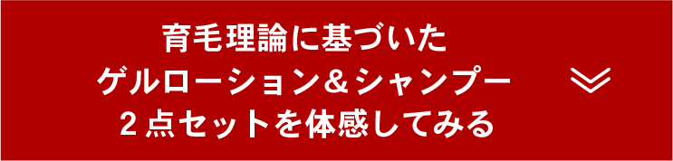 2点セットご注文フォームボタン