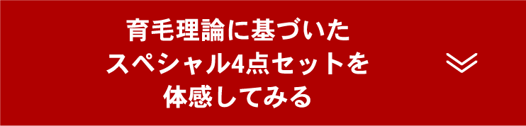 4点セットご注文フォームボタン