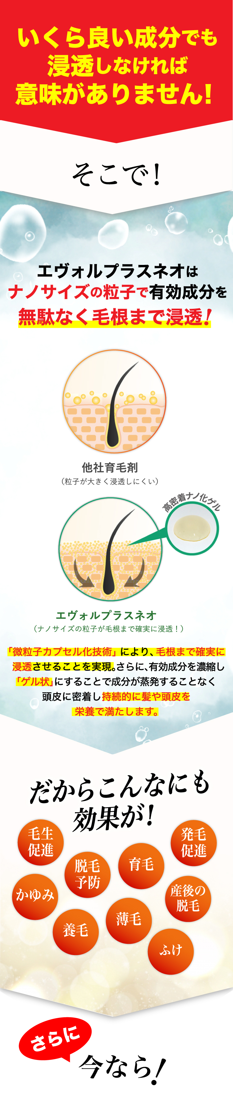 いくら良い成分でも浸透しなければ意味がありません！そこで！エヴォルプラスネオ はナノサイズの粒子で有効成分を無駄なく毛根まで浸透！だからこんなにも効果が！さらに今なら!