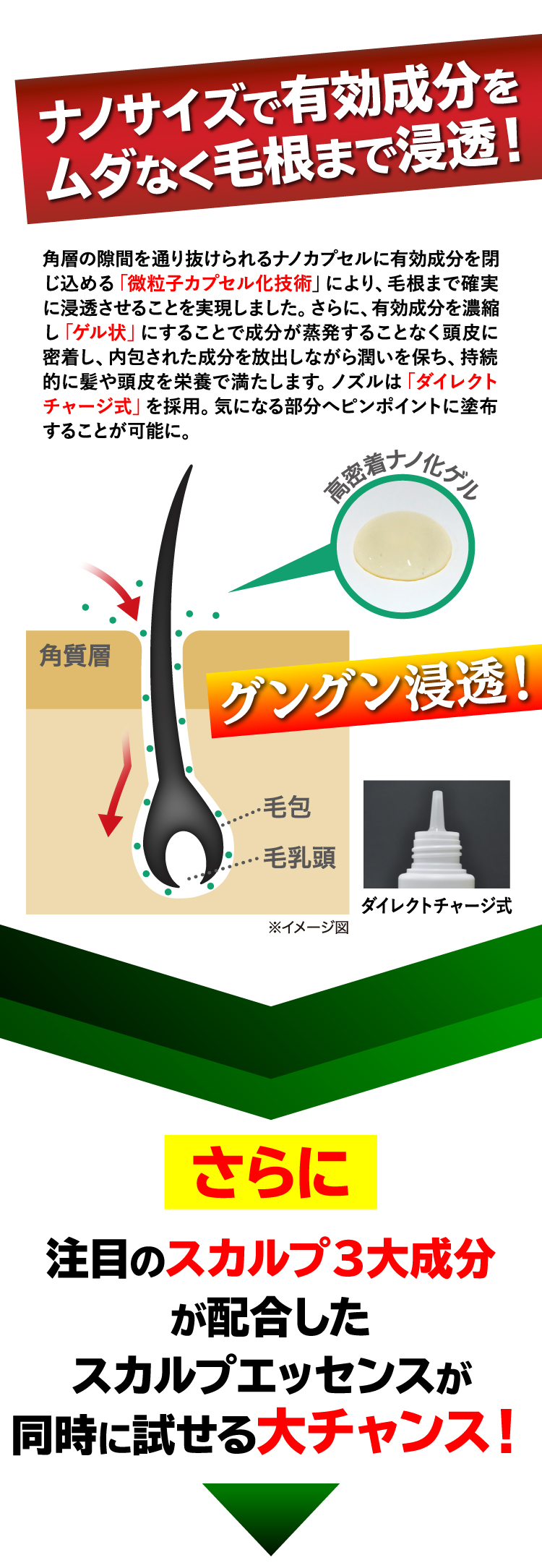 ナノサイズで有効成分をムダなく毛根まで浸透！