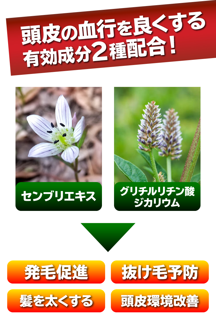 頭皮の血行を良くする有効成分２種配合！