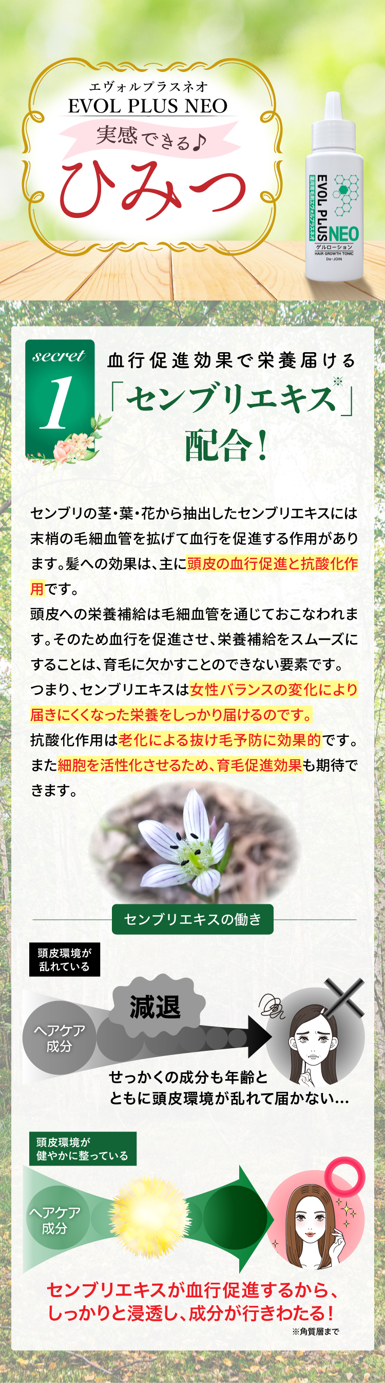 口コミ、テレビ、ラジオで話題の育毛剤！女性に圧倒的支持される