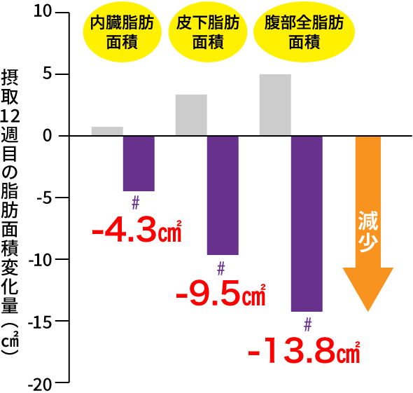 毎日気にして（ブラックジンジャーサプリ）ーお腹の脂肪燃焼サポートー