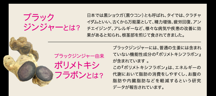 毎日気にして（ブラックジンジャーサプリ）ーお腹の脂肪燃焼サポートー